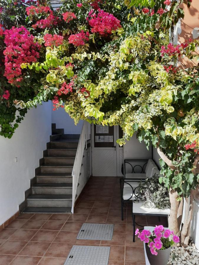 Hostal Costa Ibiza Town Ngoại thất bức ảnh