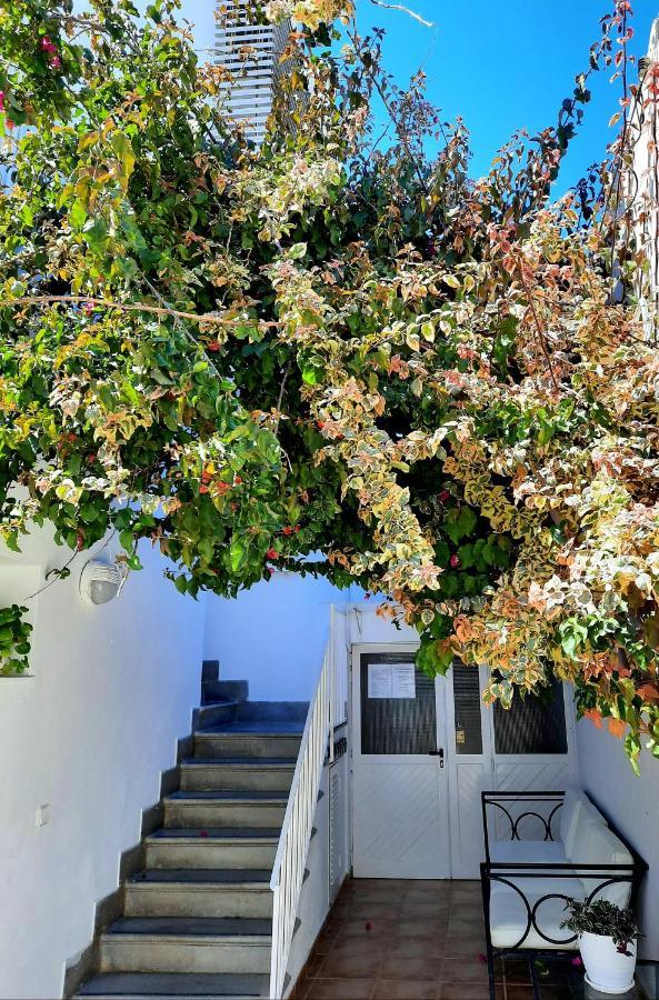 Hostal Costa Ibiza Town Ngoại thất bức ảnh